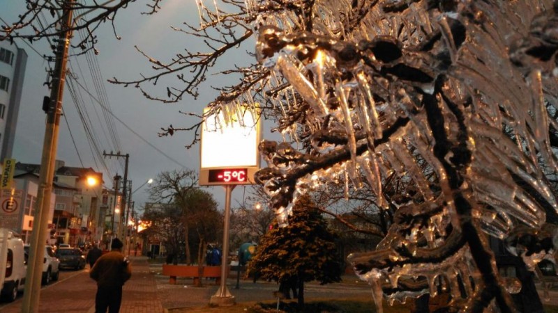 Árvores congelaram com temperatura de -5 graus em São Joaquim