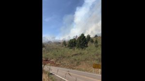 Bombeiros de Água Doce combatem fogo em reflorestamento em Herciliópolis 
