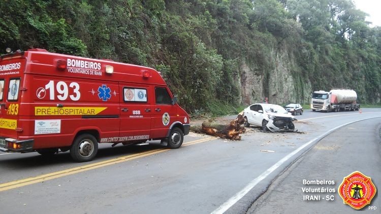 Motorista de Concórdia bate contra árvore caída sobre a BR-153 em Irani