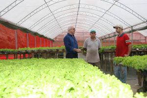 Valério Stella deixou as lavouras e conquistou o mercado regional com a produção de hortaliças