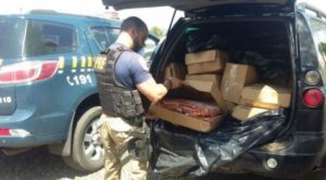 PRF de Campos Novos apreende 600 quilos de camarão transportado irregularmente 