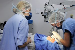 Saúde estadual segue com mutirão de cirurgias eletivas
