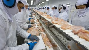 BRF de Capinzal de Concórdia são impedidas de exportar frango