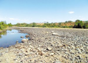 Estiagem deixa 14 rios em situação crítica em SC