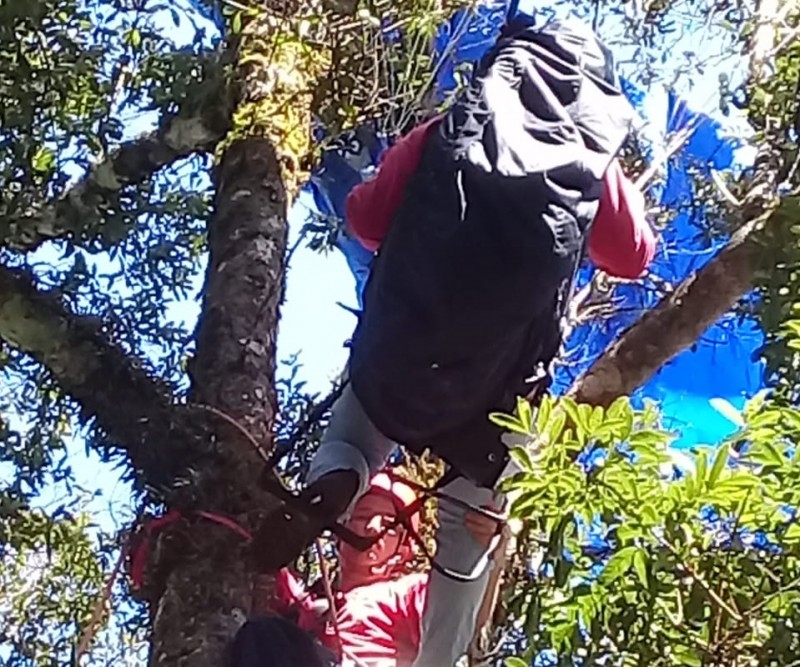 Piloto de parapente fica preso em árvore em Tangará